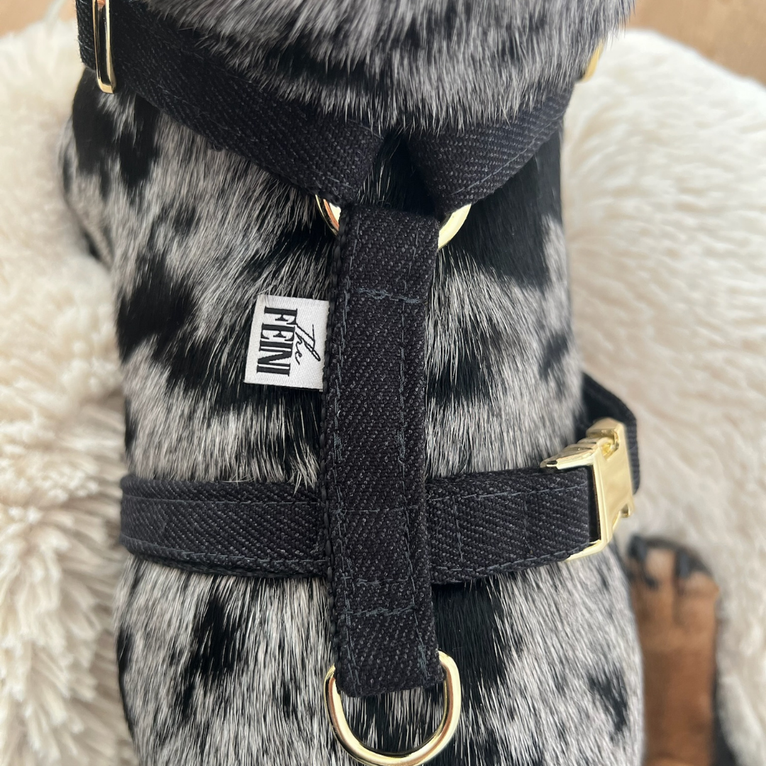 Denim Schwarz Geschirr