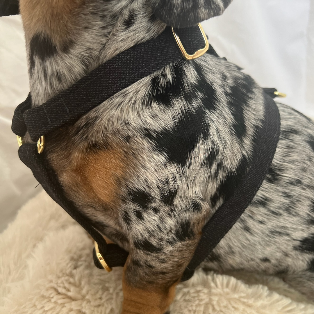 Denim Schwarz Geschirr – Bild 4