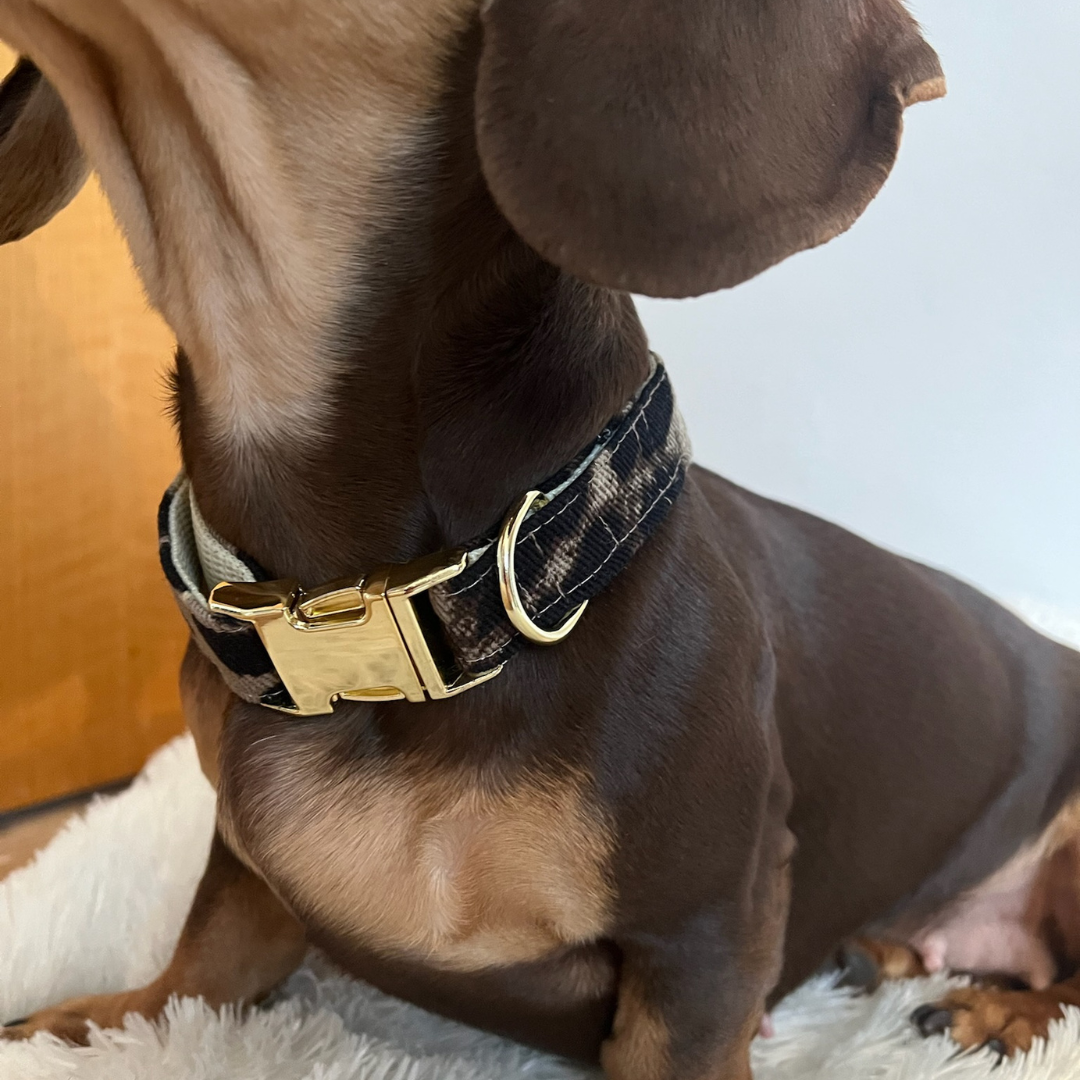 Leo Halsband – Bild 2