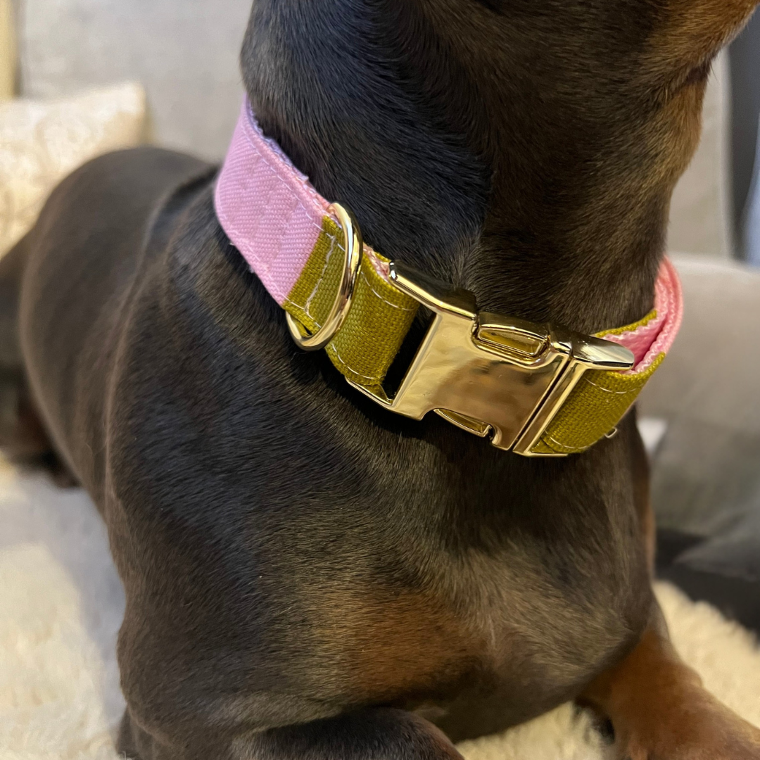 Streifen Rosa und Grün Halsband – Bild 2
